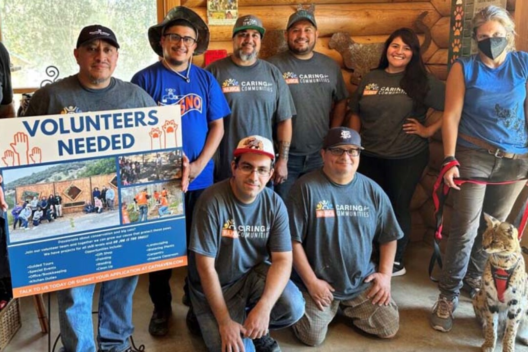 Hajoca employees participating in a Day of Service Community Service event